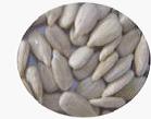 Sunflower seed kernels