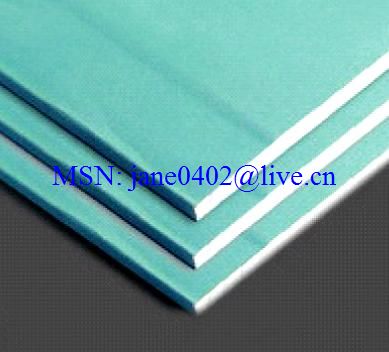 Paper faced gypsum board