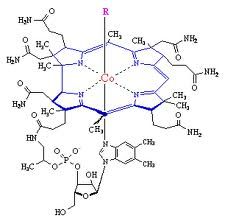 Vitamin B12 