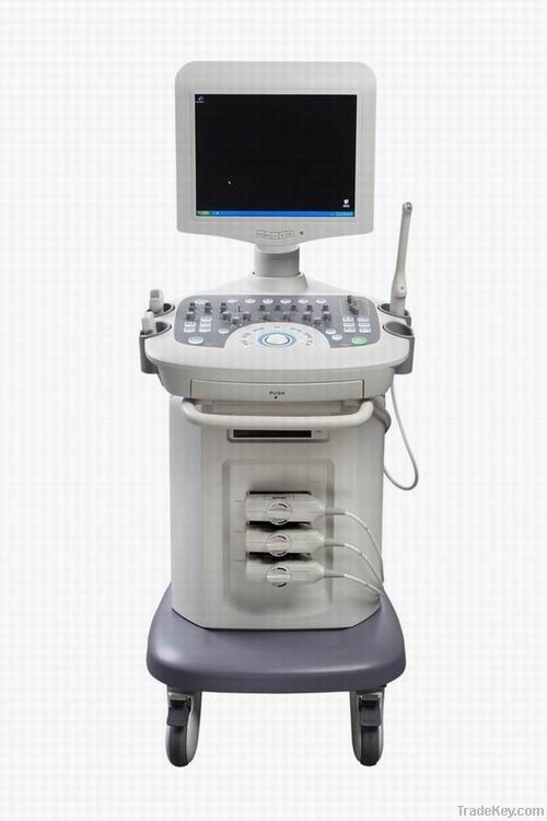 Color Doppler Ultrasound Imaging System