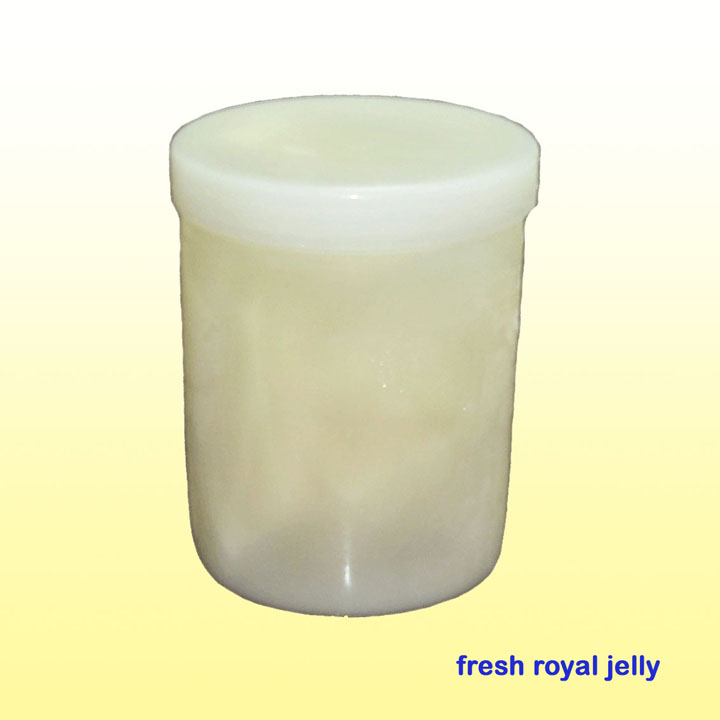 Fresh Royal Jelly