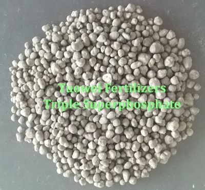 Granular Triple Superphosphate (GTSP)