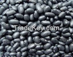 Kidney Beans, Black Beans, Lentils, Chickpeas, Mung Beans, Soybeans