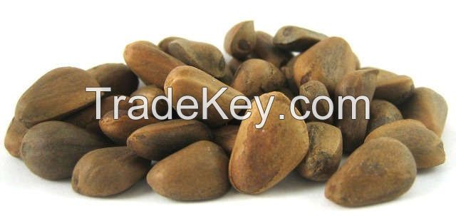 Raw Pine Nuts / Organic Pine Nuts / Mediterranean Pine Nuts / Pinon Nuts (Indian Nuts)