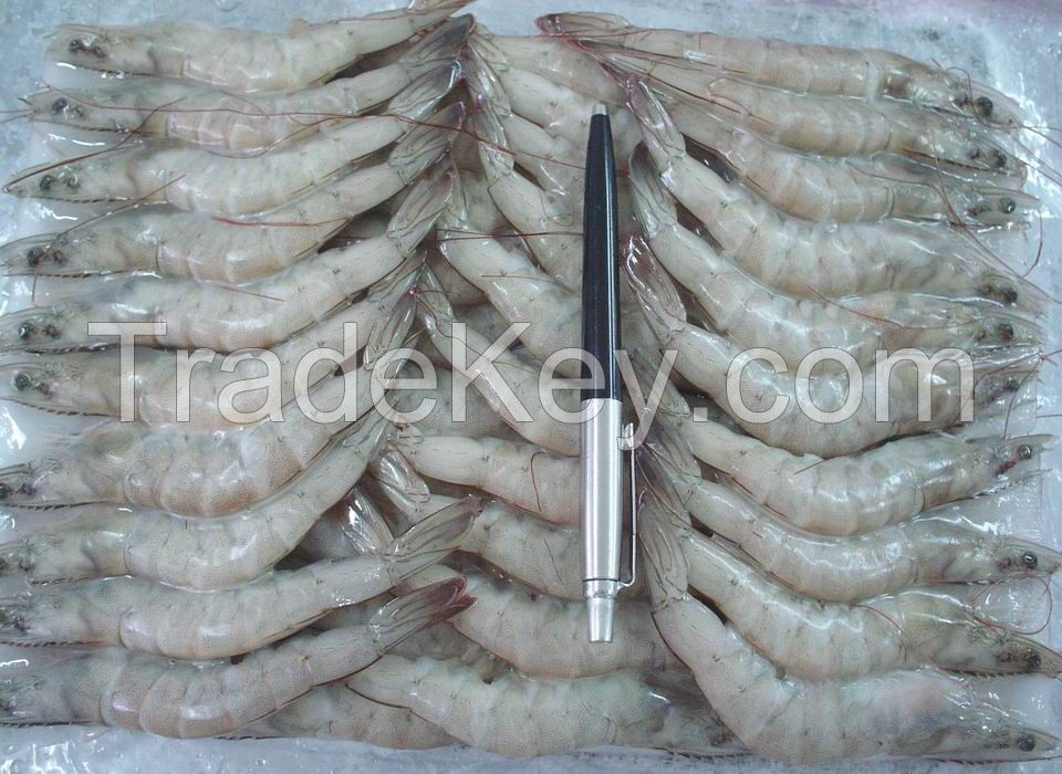 IQF Frozen Pud Shrimp / Frozen Pud Shrimp / Frozen Shrimp / Frozen white Shrimp