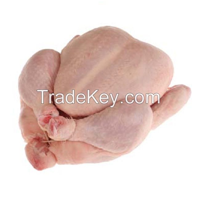 Grade A Halal Frozen Whole Chicken / Feet / Paws / Drumsticks