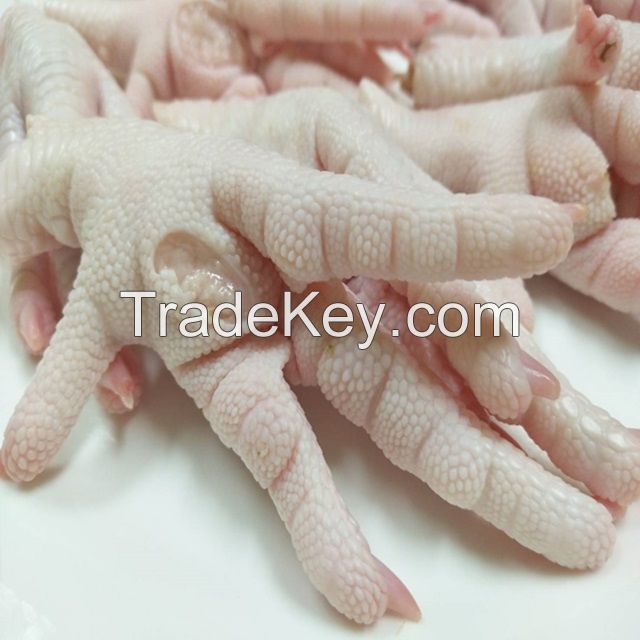 Fresh Frozen Chicken Feet