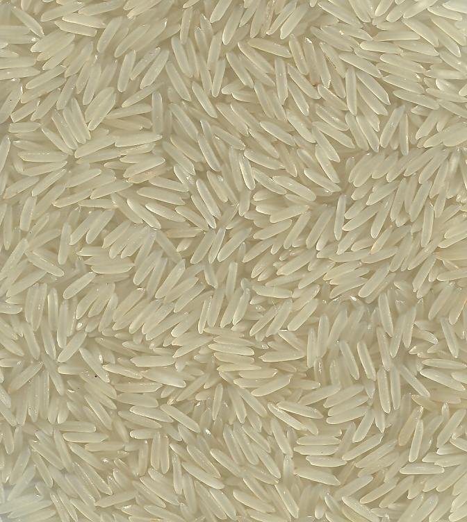 RICE SUPPLIER| PARBOILED RICE IMPORTERS | BASMATI RICE EXPORTER| KERNAL RICE WHOLESALER| WHITE RICE MANUFACTURER| LONG GRAIN TRADER| BROKEN RICE BUYER | IMPORT BASMATI RICE| BUY KERNAL RICE| WHOLESALE WHITE RICE| LOW PRICE LONG GRAIN