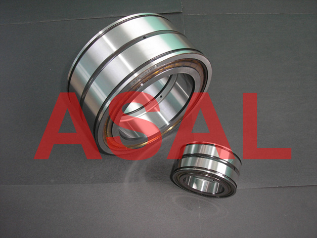 SL045020 PP__full complement cylindrical roller bearing_ASAL