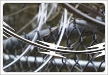 Razor Barbed Wire Mesh