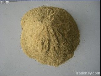 Yeast Powder