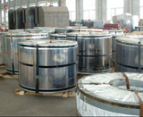 Stainless Steel Coil