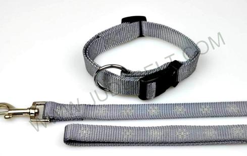 Dog Collar and Leash