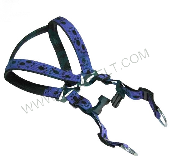 Pet Harness