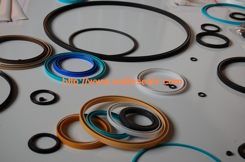 PTFE Spring Seal