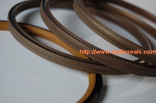 PTFE Spring Seal