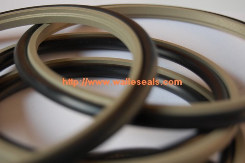 PTFE Spring Seal