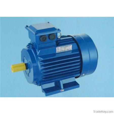 Three Phase Electric Motor