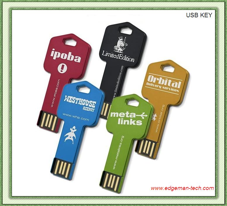 USB Key , Key shape USB flash drive