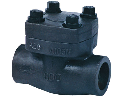 Swing Check Valve