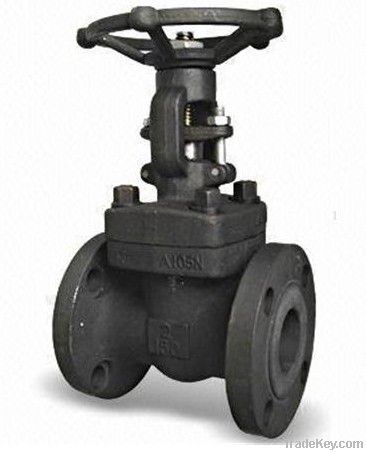 Forged Steel Gate Valves (Class 800 )