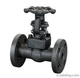 Gate Valve