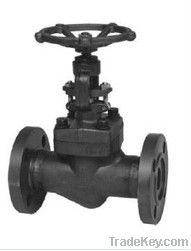 class 150~600 flanged end forged globe valve