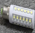 LED bulb lights