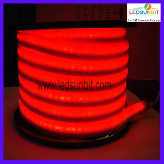 Super Bright Led Flexible Neon/12v