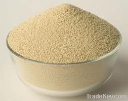 Soybean Meal