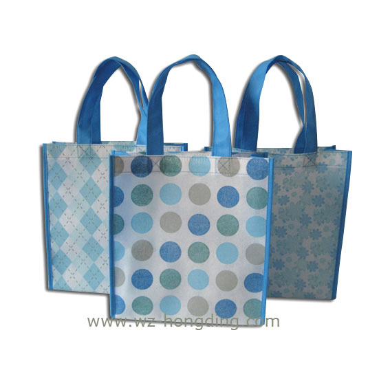 Single non woven bag