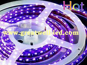 IP66 exploxy sealed waterproof LED strip rainbow ROHS, CEcertifications