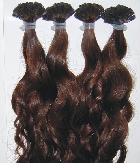 100% high quality U tip human hair extension