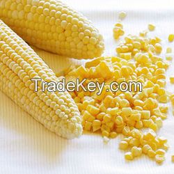 Yellow Corn