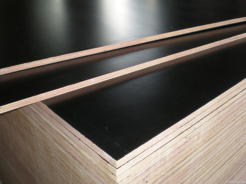 Film Plywood