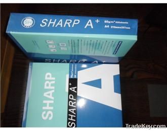 copier paper A4/USA size low price