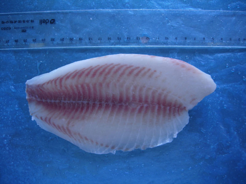 tilapia fillet