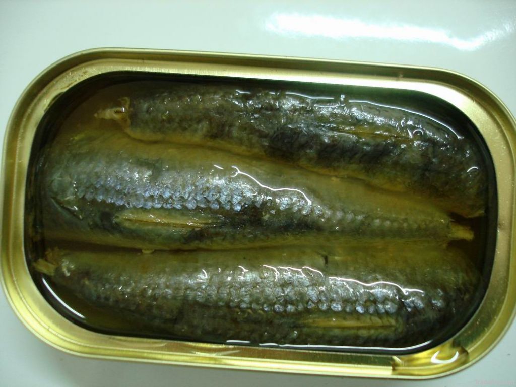 canned sardine