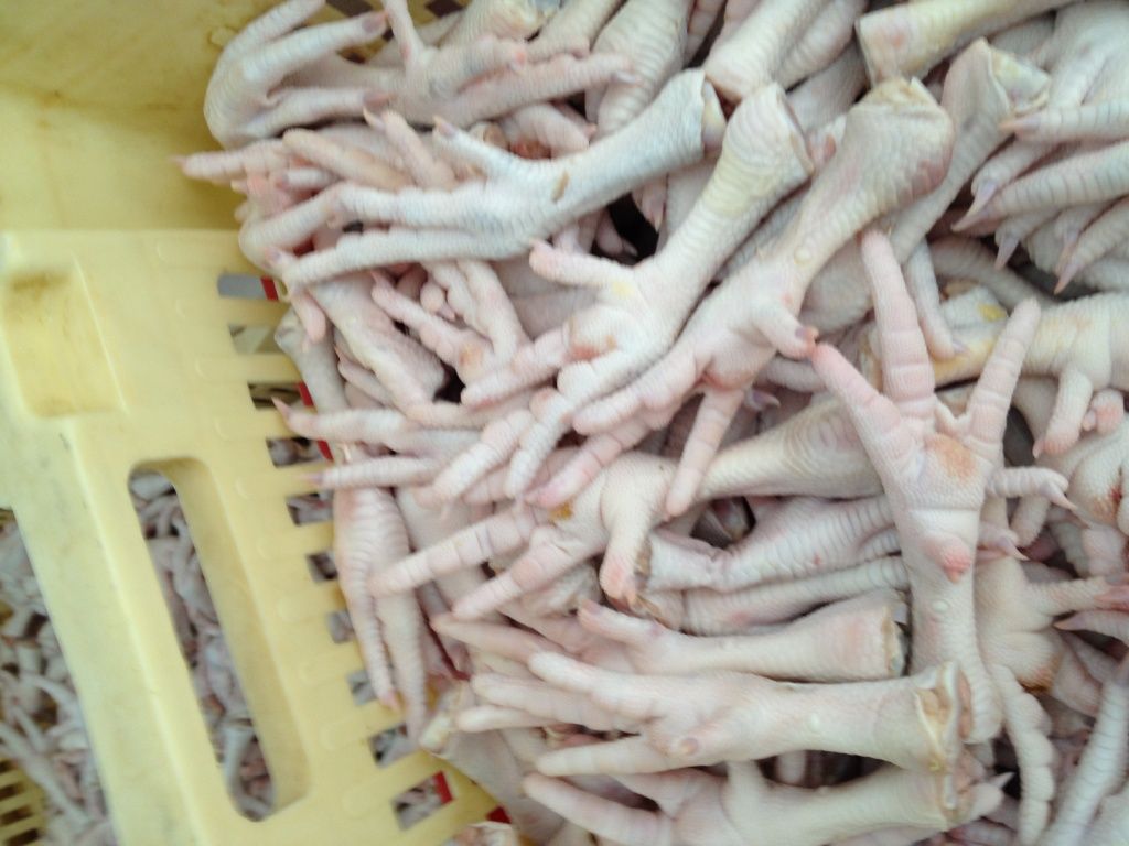  Export Chicken Paw | Chicken Feet Suppliers | Poultry Feet Exporters | Chicken Feets Traders | Processed Chicken Paw Buyers | Frozen Poultry Paw Wholesalers | Low Price Freeze Chicken Paw | Best Buy Chicken Paw | Buy Chicken Paw | Import Chicken Paw | Ch