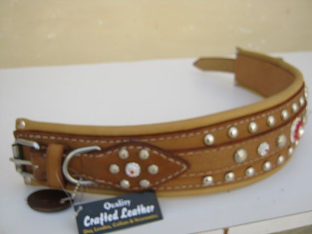 fancy Dog Collar