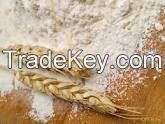 Flour