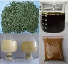 Rosmarinic acid