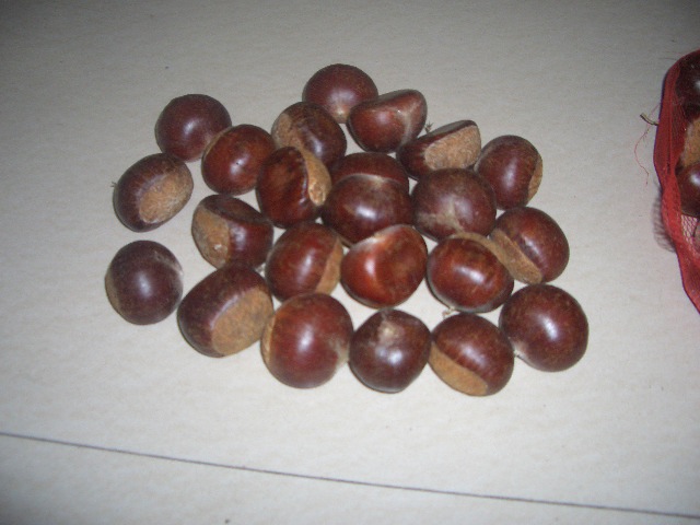 fresh chestnut