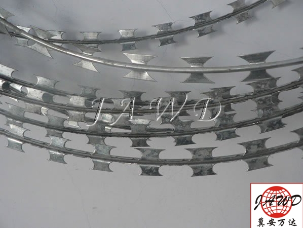 Concertina Razor Wire