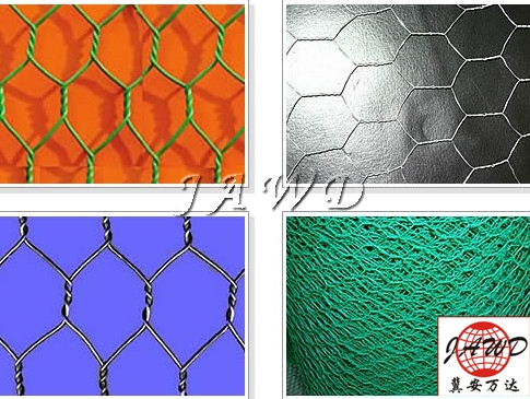 Chicken Wire Mesh for farm