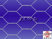 Chicken Wire Mesh for farm