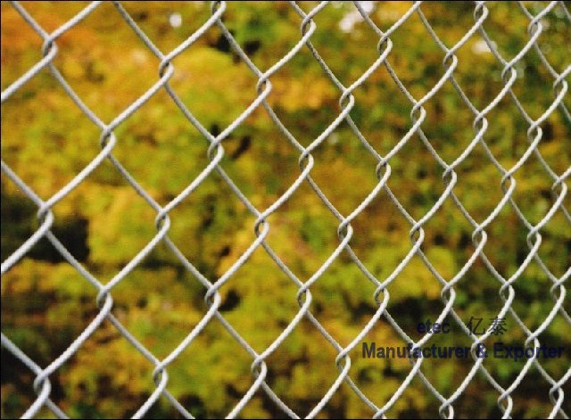 Galvanized chain link wire mesh fence (factory)