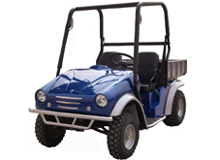 Utility Vehicle(UTV)