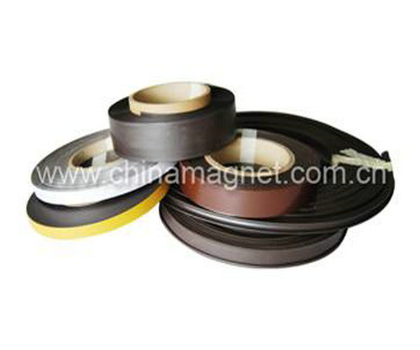 Flexible magnetic strip