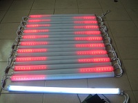 LED Fence Light